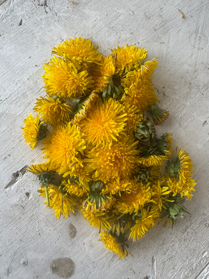 Dandelion Salve