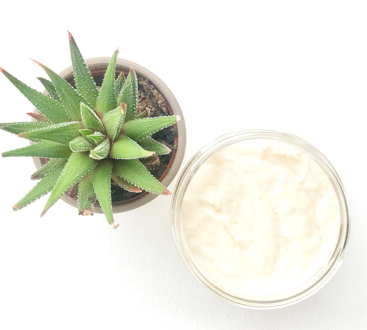 True Moisture: A Whipped Butter Moisturizing Hair Mask